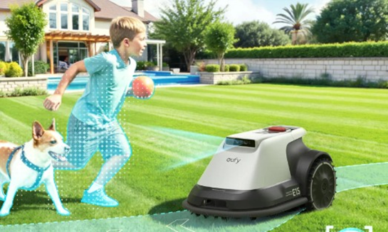 How Often Should You Aerate Your Lawn?